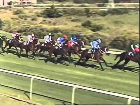 Captain's Lover wins G1 Cape Fillies Guineas