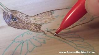Pyrography How to Burn a Hummingbird Part 1