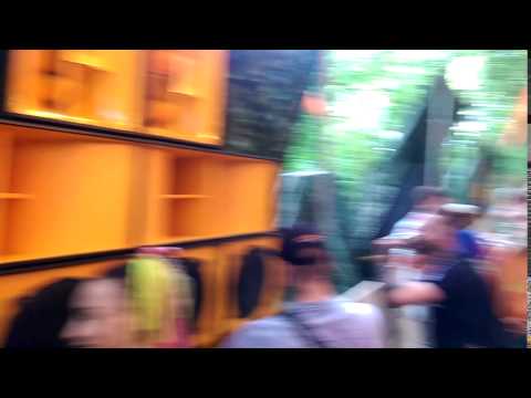 Tangled roots - Boomtown fair 2016