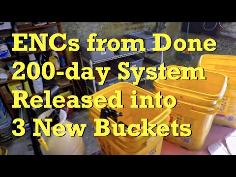 3 worm systems launched in buckets with European nightcrawlers - vermicompost