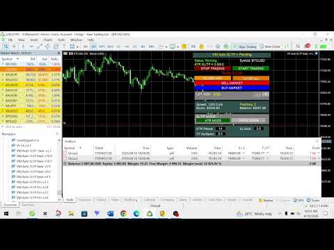 Video VM Auto SLTP Basic