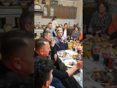 Braca Ageljic-Oj jablane siri grane