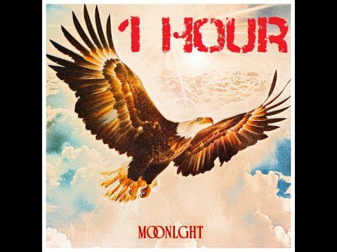 Free Bird - 1 hour version - MOONLGHT Remix