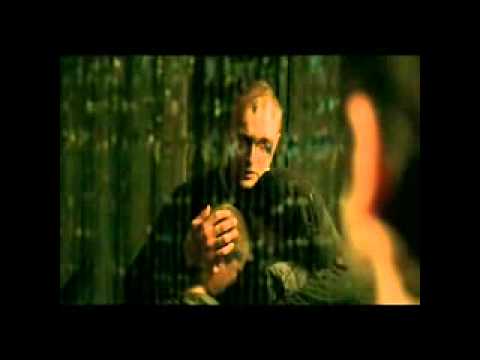 afbeelding HANDLARZ CUDÓW trailer - videooskar