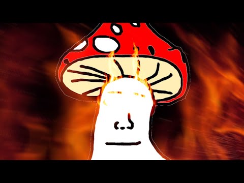 shroomjak is looking respectfully at you