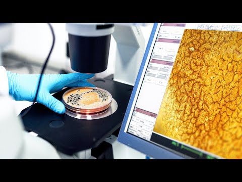 Кофе под микроскопом