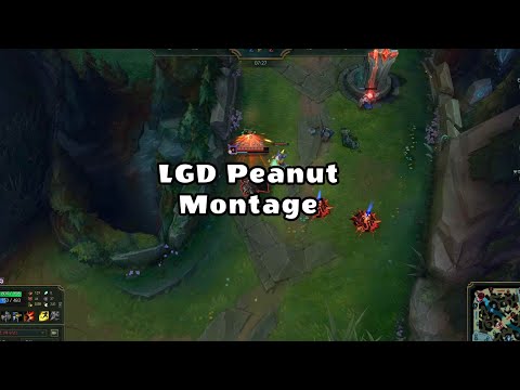 5월 1주차 LGD Peanut 매드무비