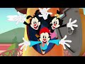 ANIMANIACS AMV