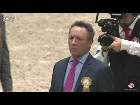 N 12 ROYAL ASSELAH   Paris 2019   Yearling Fillies Class 1A