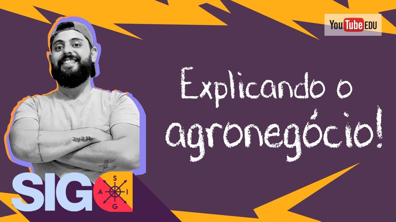AGRONEGÓCIO - características