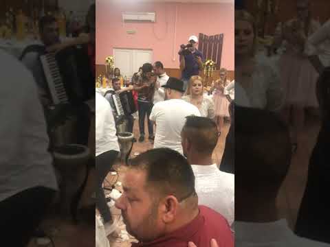 Alex salam Dela Medgidia live cu formația lui Sorinel Pustiu la Modelu calarasi August 2019