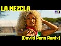 Michel Cleis feat Totó la Momposina - La Mezcla (David Penn Remix) [Altra Moda Music]