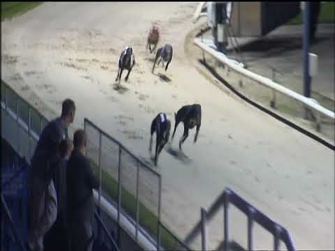 2017 CHAMPIONS NIGHT MARATHON - HEAT 1 - T3 GOLDIES SEB