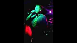 Dog fashion disco worm in a dogs heart live partial