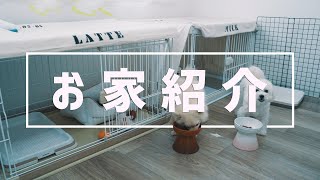 犬 多頭 飼い ケージ 配置 Watch Hd Mp4 Videos Download Free