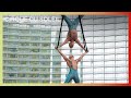 Zarkana by Cirque du Soleil | Aerial Straps Act ...