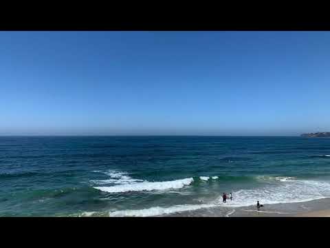 Shark sighting at Brooks Street, Laguna Beach | SUP | Our OC Adventures