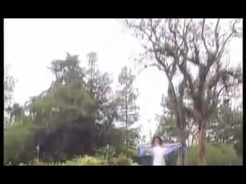 Afdhal imel - riang nya burung