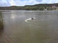 Dakota