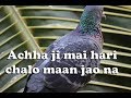 Achha Ji Mai Hari Chalo Maan Jao Na Whatsapp Status Video Love Whatsapp Status Romantic Status