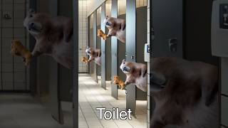 11 Chicken Wing Song Sound Variations in 35 Seconds #soundvariations #chickenwings #chickensong