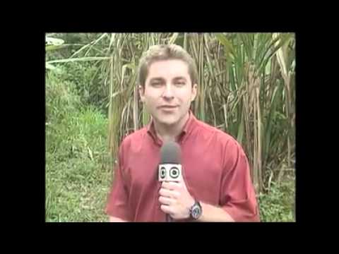 History of the Necrophiliac Brothers of Nova Friburgo