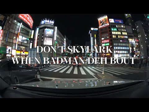 Parly B - Skylark (Stalawa mix) [LYRICS VIDEO]