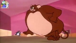 Tom and Jerry GROW HUGE Due to Growth Ray (Jerry G