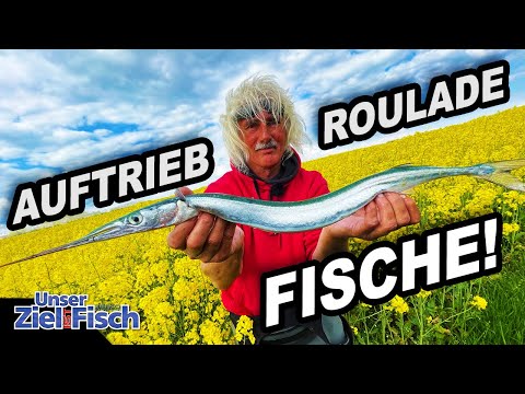 BEST SUPERMARKET HORNFISH LURE? JÖRG OVENS CLEANS UP! Our goal is fish - The Fishing School