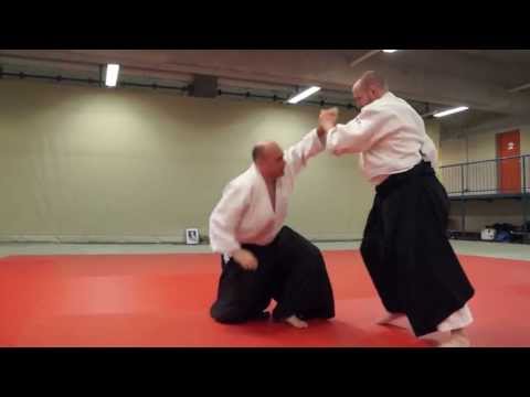 Aikido: Stéphane Goffin - 10th Seminar in Vienna