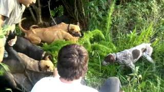 June 26, 2011 7:28 PM