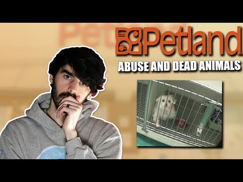 Horrific Animal Abuse: What Petland Doesn't Want You to See!