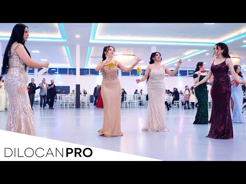 Sezgin Efshiyo / Hussein & Sevin / Part01 / #DilocanPro #Hochzeit #Wedding #Kurdish #Dilocan