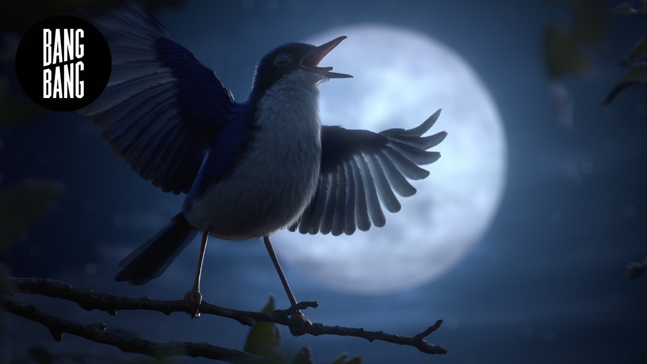 CGI short film "Maestro" - by Illogic