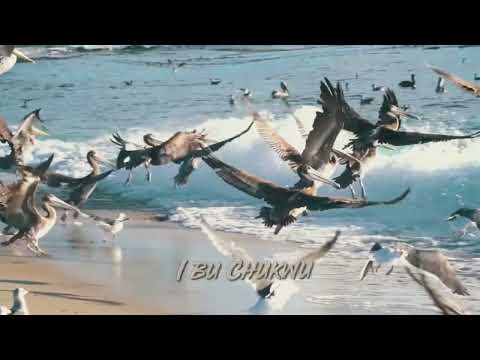 Joy Ady - I BU CHUKWU (You Are God) Official Video w/ Lyrics