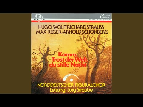 6 geistliche Lieder von Eichendorf: III. Resignation