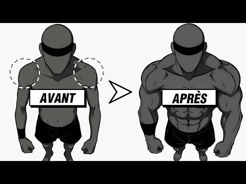 Les 3 Seuls Exercices dont vos épaules ont besoin... (Au poids du corps)