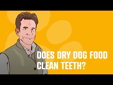 Does Dry Dog Food Clean Teeth? Nick The Vet Answers