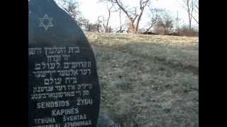 preview picture of video 'Ž. Naumiesčio (Žemaitės g.) žydų kapinės  - Ž. Naumiesčio (Žemaites str.) Jewish cemetery'