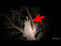 10 SCARY GHOST VIDEOS You Won T Forget