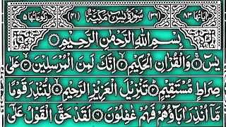 Surah Yaseen Full Tilawat Arbic Text Me | Arabic Text Me Surah Yasin 🔥🕋