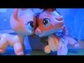 Littlest Pet Shop: Popular (Episode #19: Brooke ...