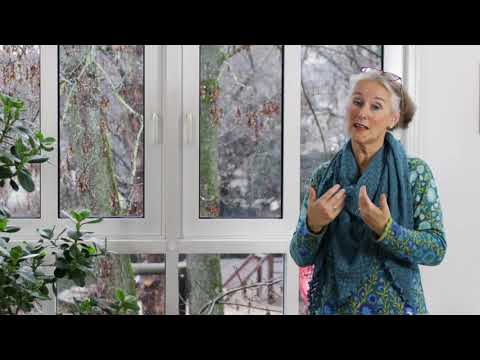 3 Montessori-Tipps in Krisenzeiten [Österreichische Montessori-Akademie | Montessori-Ausbildung]