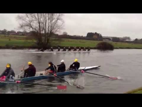 Corpus Christi ejector crab (Emma Sprints, 2014)