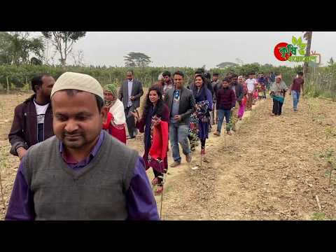 বাংলাদেশের চাইনিজ কমলা(শেষ পর্ব)- হাজার হাজার মানুষের ঢল যে বাগানে