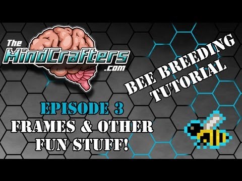 Bee Breeding Tutorial - Episode 3: Frames & Other Fun Stuff!