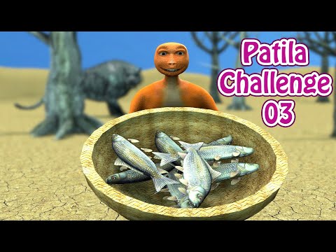 Patila Challenge Part 03 | Patila VS Big Cat New Challenge.
