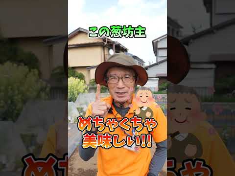 園芸 ネギ、ニンニク