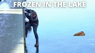 frozen in the lake