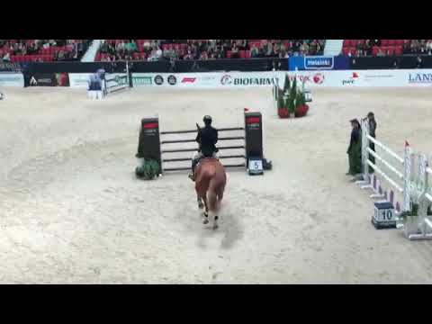 Silver Deux de Virton*HDC - CSI 5*-W Helsinki - Epreuve 140 - Octobre 2018